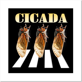 Cicada Brood XIX funny album Posters and Art